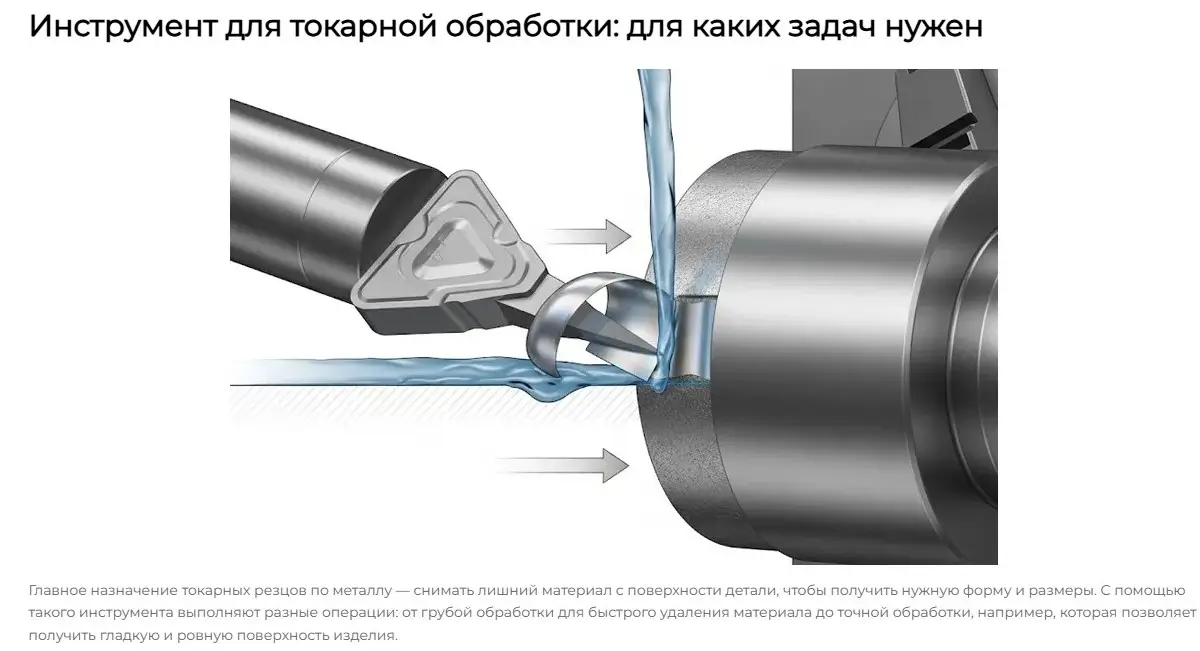 xcanshop infographic example