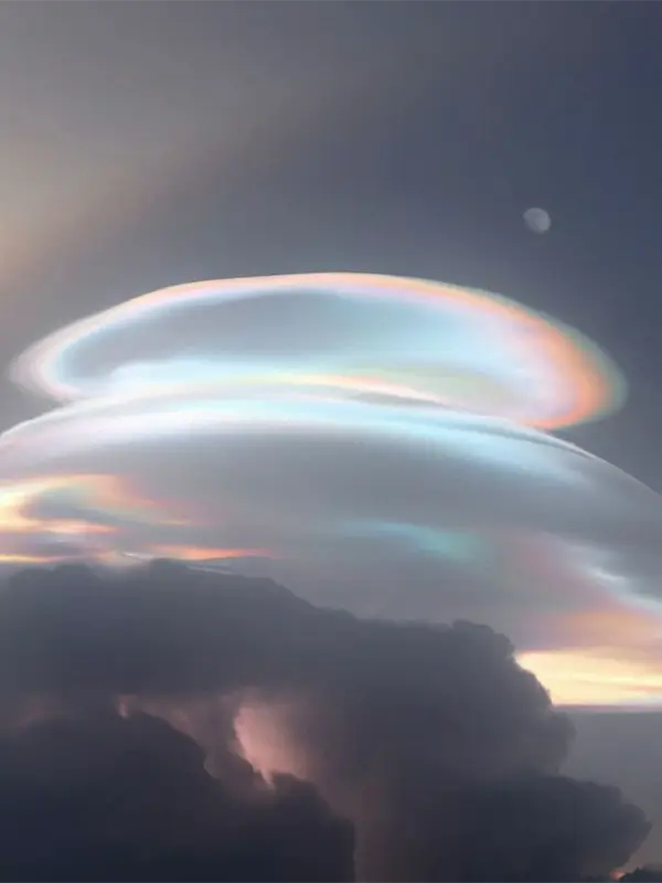 EXTRA CELESTIAL (КОСМИЧЕСКИЙ ШИК)1