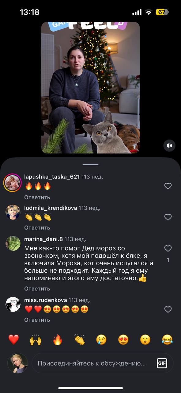 Garfield Коллаборации с экспертами-2