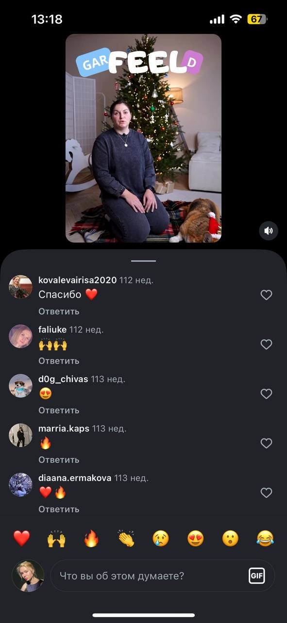 Garfield Коллаборации с экспертами-3