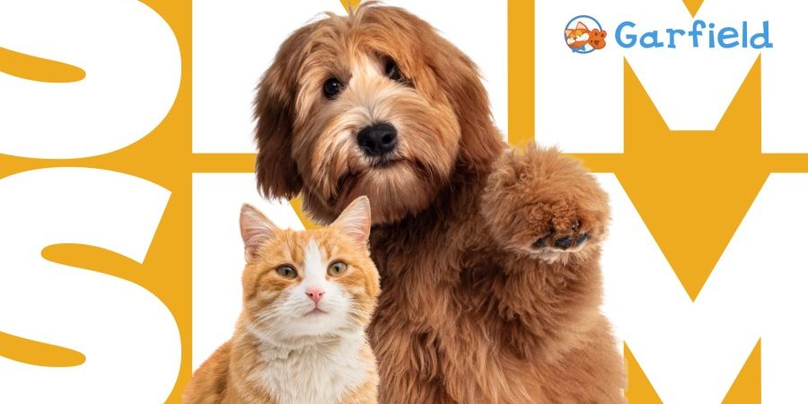 С любовью к питомцам SMM для сети зоомагазинов Garfield